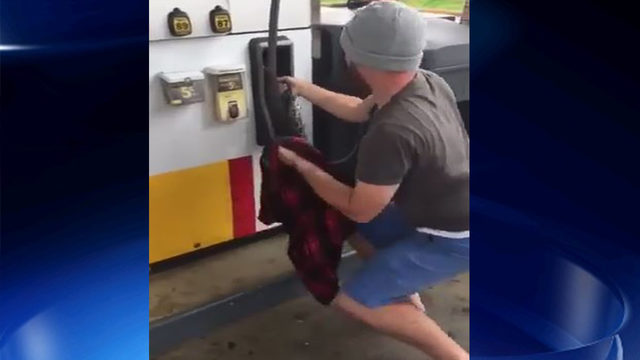 Hasil gambar untuk Man pulls snake out of gas pump with his hands